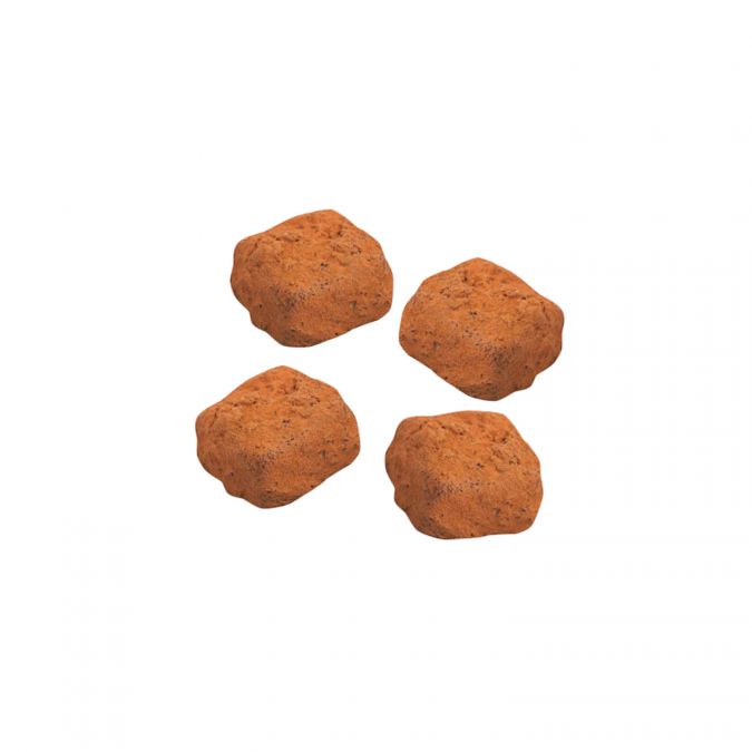 Truffes chocolat noir 100g bio